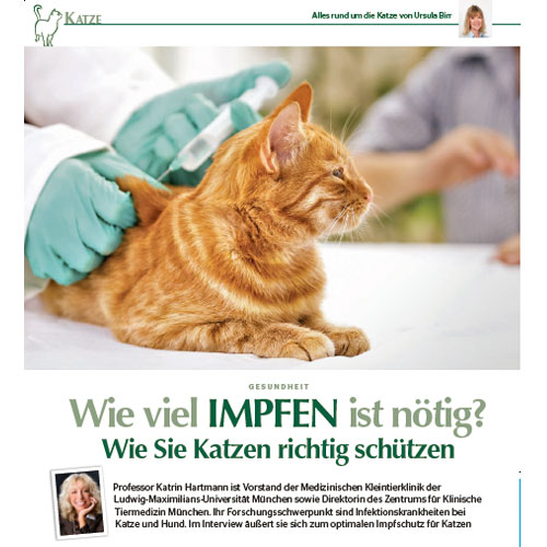 Katzen-Impfungen in „Ratgeber Katze“
